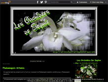 Tablet Screenshot of les-orchidees-de-sophie.com